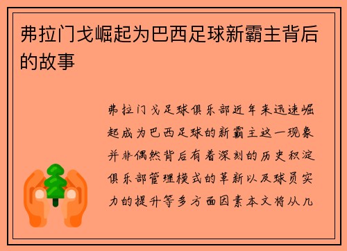 弗拉门戈崛起为巴西足球新霸主背后的故事 弗拉门戈崛起为巴西足球新霸主背后的故事