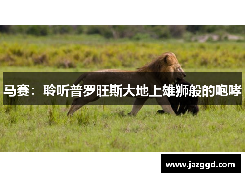 马赛:聆听普罗旺斯大地上雄狮般的咆哮 马赛:聆听普罗旺斯大地上雄狮般的咆哮