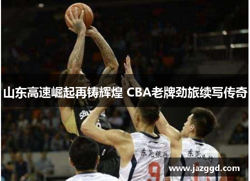 山东高速崛起再铸辉煌 CBA老牌劲旅续写传奇 山东高速崛起再铸辉煌 CBA老牌劲旅续写传奇